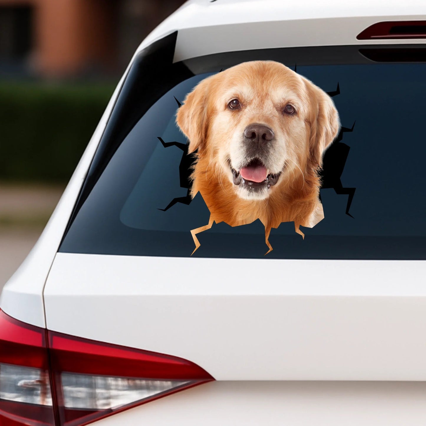 Car Sticker-6