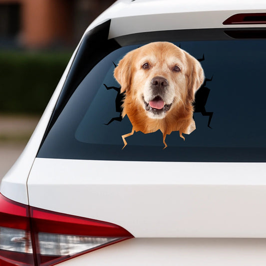 Car Sticker-6