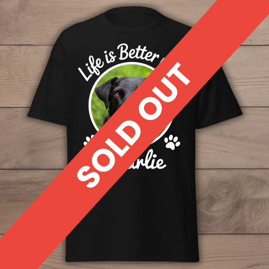 SOLD OUT (1)