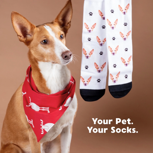 Pawfect Steps - Personalized Unisex Socks