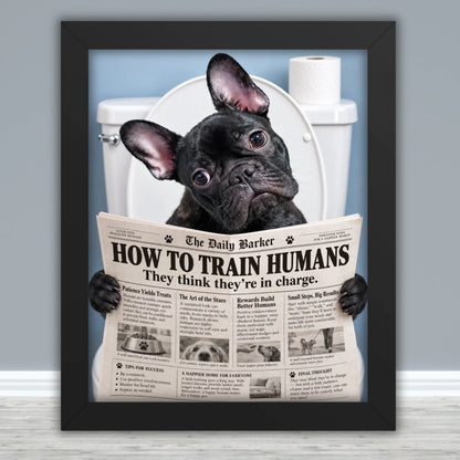 Framed Poster Mockups