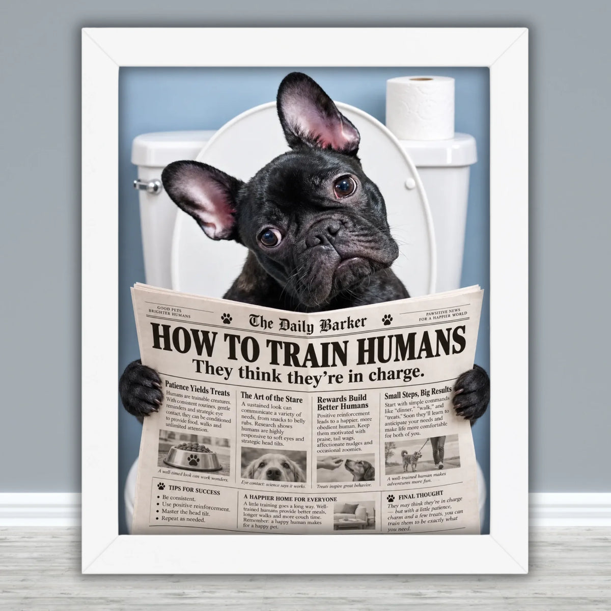 Framed Poster Mockups