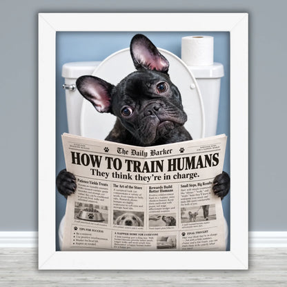 Framed Poster Mockups