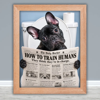Framed Poster Mockups