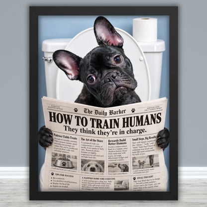 Framed Poster Mockups
