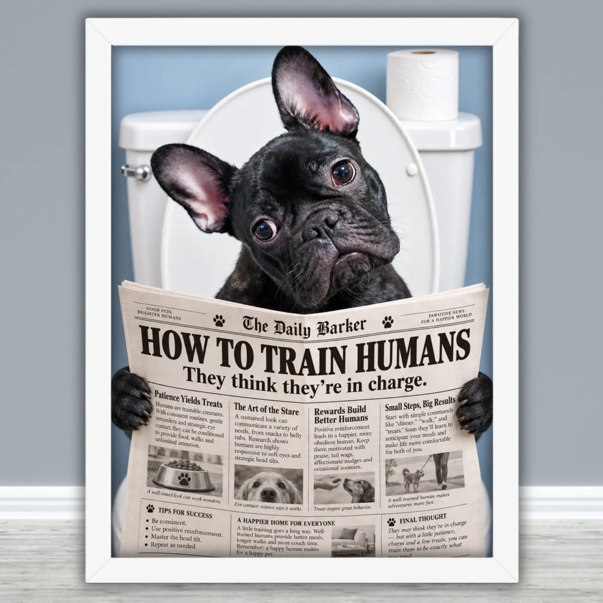 Framed Poster Mockups