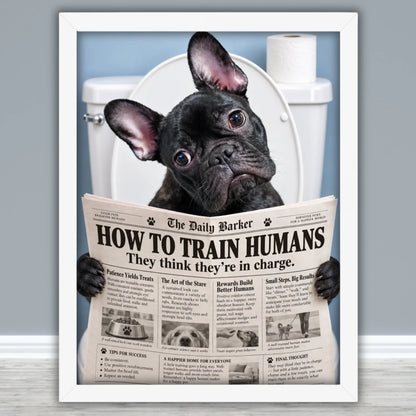 Framed Poster Mockups