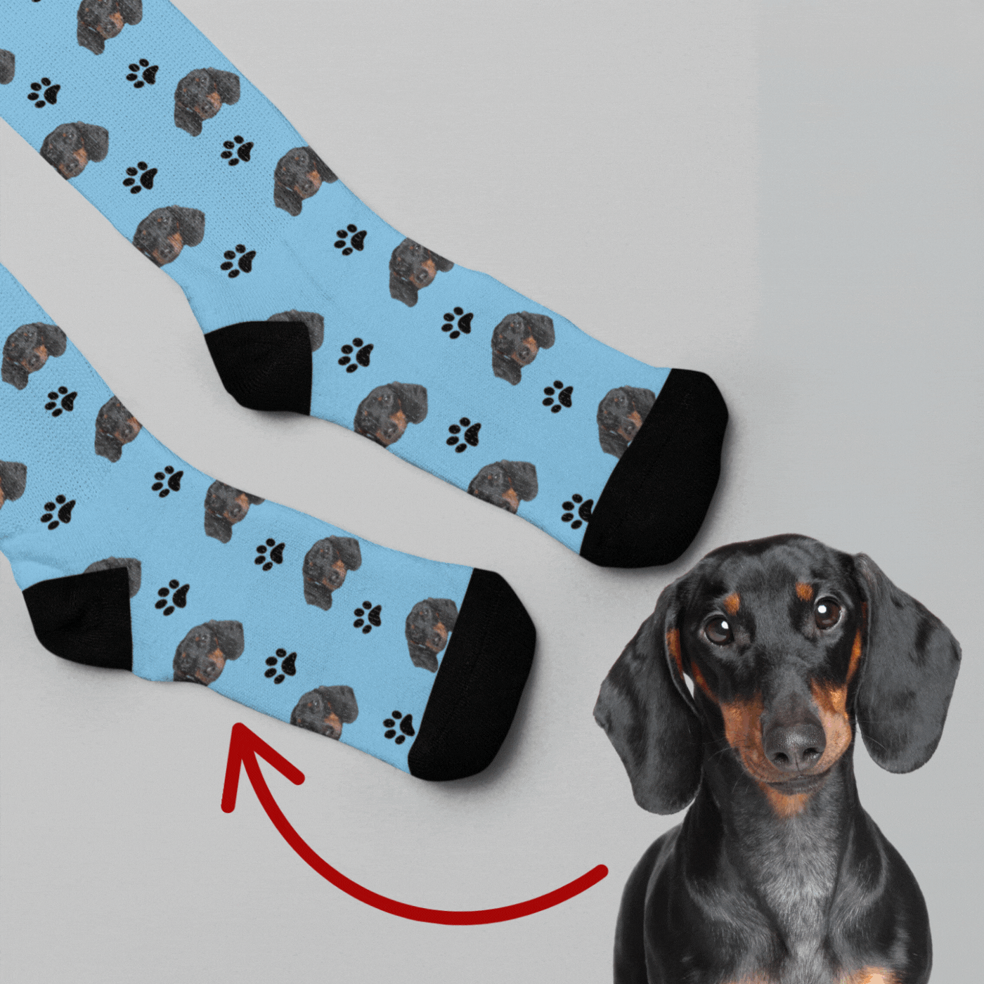 Pawfect Steps - Personalized Unisex Socks