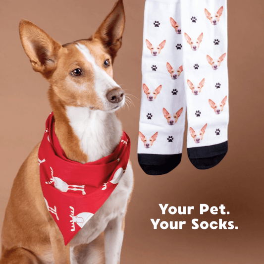 Pawfect Steps - Personalized Unisex Socks