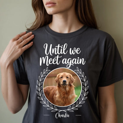 a-softly-lit-still-life-photograph-showc_rLsH3lrWRKSPKK6HH6ndBA_2_pECdZHRymsMDFRUAhvzw